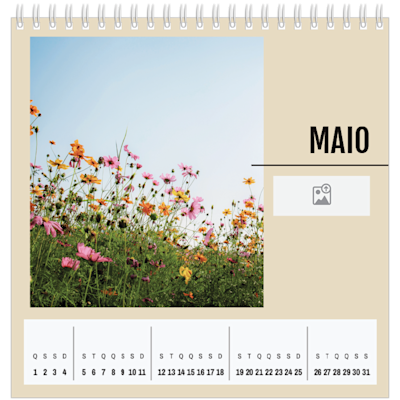 Exemplo de página 5, Calendários de mesa personalizados, opção 13
