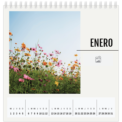 Ejemplo de página 1, Calendarios de mesa personalizados, opción 11