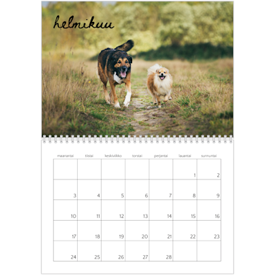 Esimerkki sivusta 2, Kiiltävät valokuvakalenterit, vaihtoehto 9