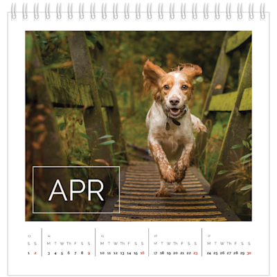 Example of page 4, Desk Calendars, option 9