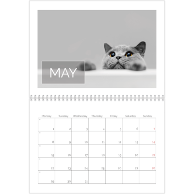 Example of page 5, Custom Wall Calendars, option 16