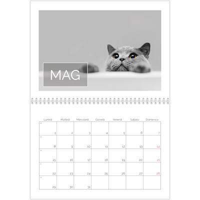Esempio di pagina 5, Calendari da parete, opzione 18