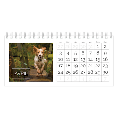 Exemple de page 4, Calendriers de bureau personnalisés, option 8