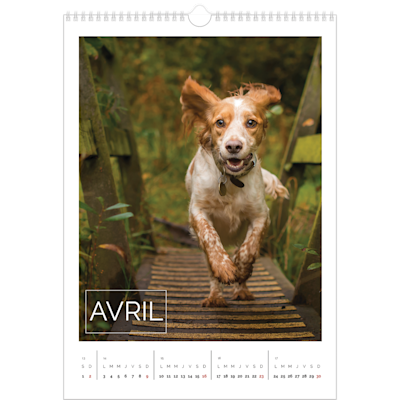 Exemple de page 4, Calendrier mural, option 18