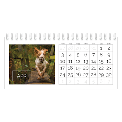 Example of page 4, Custom Desk Calendars, option 24