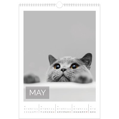 Example of page 5, Date box overlay, option 14