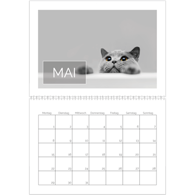 Beispiel für Seite 5, Wandkalender 2026, Option 9