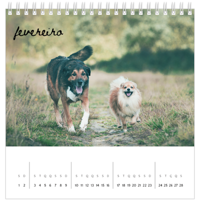 Exemplo de página 2, Calendários de mesa personalizados, opção 8