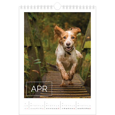 Eksempel på side 4, Vægkalendere, variant 12