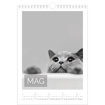 Esempio di pagina 5, Calendari da parete, opzione 14