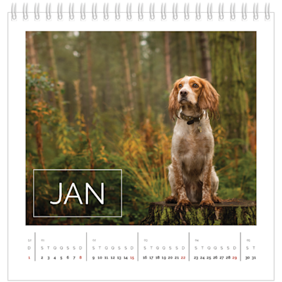 Exemplo de página 1, Calendários de mesa personalizados, opção 15