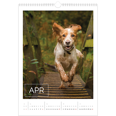 Esempio di pagina 4, Calendari da parete, opzione 15