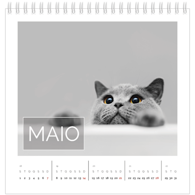 Exemplo de página 5, Calendários de mesa personalizados, opção 15