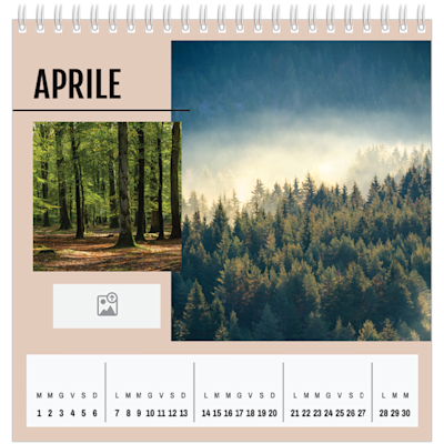 Esempio di pagina 4, Calendari da tavolo personalizzati, opzione 8