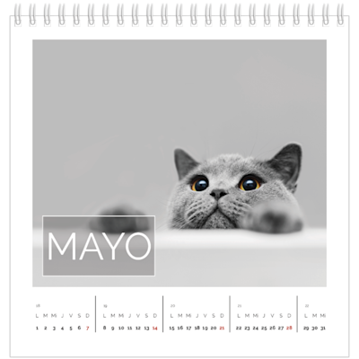 Ejemplo de página 5, Calendarios de mesa personalizados, opción 9