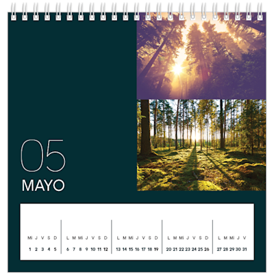Ejemplo de página 5, Calendarios de mesa personalizados, opción 6