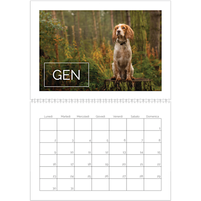 Esempio di pagina 1, Calendari da parete, opzione 8