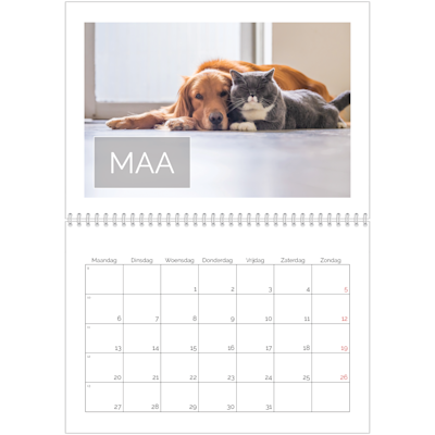 Voorbeeld van pagina 3, Fotoglans wandkalenders, optie 19