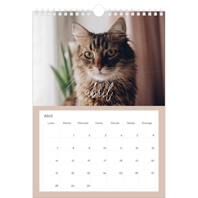 Ejemplo de página 4, Calendarios de pared personalizados, opción 23