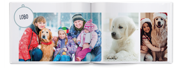 Exemplo de página 5, Álbuns fotográficos personalizados, opção 23