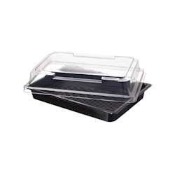 Sushischalen met deksel – 255 x 185 x 50 mm – 200 stuks