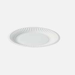 Paper Plate