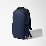 Example 6 of selected product