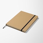 Example 5 of selected product