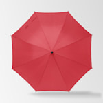 Example 2 of selected product
