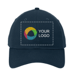Example 1 of selected product