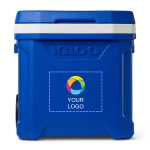 Example 1 of selected product