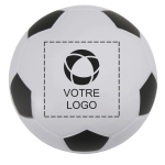 Exemple 1 de produit sélectionné