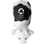 Voorbeeld 1 van geselecteerd product