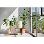 Voorbeeld 8 van geselecteerd product