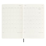 Example 6 of selected product