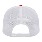 Example 5 of selected product