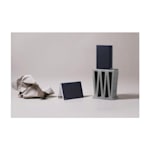 Example 6 of selected product