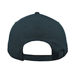 Example 4 of selected product
