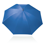 Example 2 of selected product
