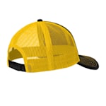 Example 2 of selected product