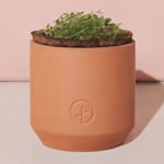 Example 3 of selected product