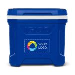 Example 1 of selected product