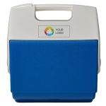 Example 1 of selected product