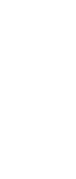 Eksempel 1 på det valgte produkt