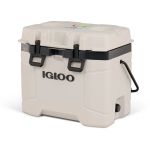 Ejemplo 1 del producto seleccionado