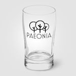 Exemple 4 de produit sélectionné