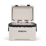 Example 11 of selected product