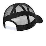 Example 6 of selected product