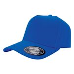 Example 2 of selected product