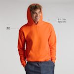 Ejemplo 6 del producto seleccionado